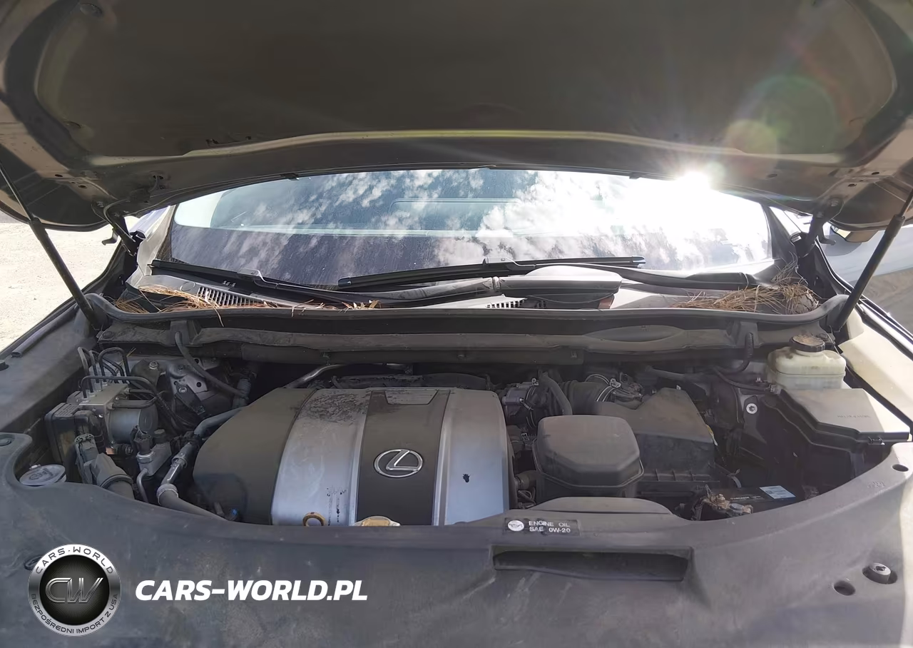 2016 Lexus Rx 350 VIN:2T2BZMCA9GC041572 - 10
