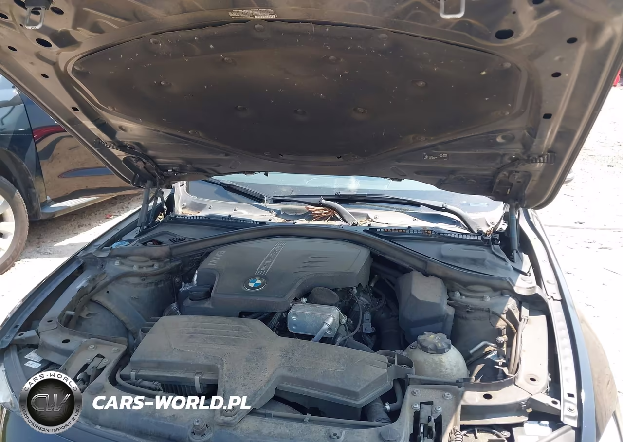 2016 BMW 428I VIN:WBA3N7C52GK228768 - 10