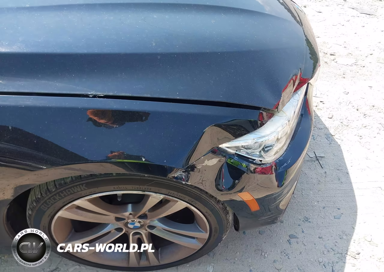 2016 BMW 428I VIN:WBA3N7C52GK228768 - 17