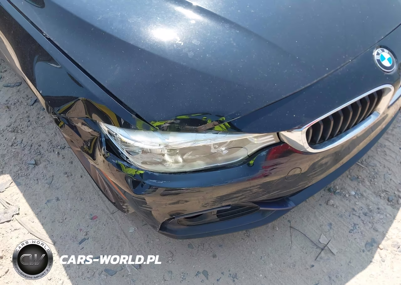 2016 BMW 428I VIN:WBA3N7C52GK228768 - 18