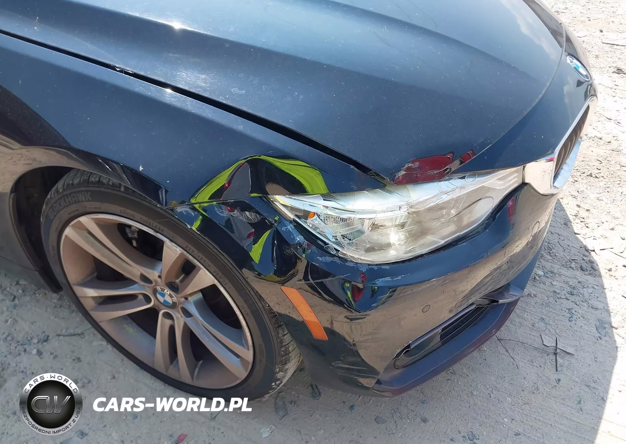 2016 BMW 428I VIN:WBA3N7C52GK228768 - 6