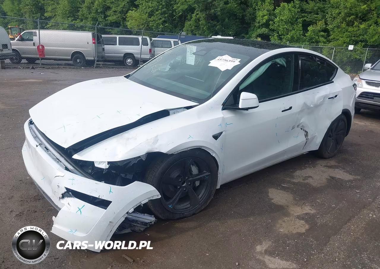 2026 Tesla Model Y Premium Rear-Wheel Drive-Rear-Wheel Drive VIN:7SAYGDED1TA695497 - 2