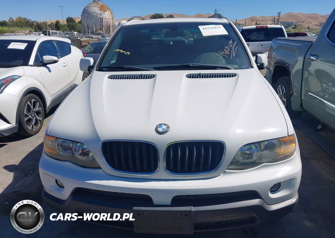 2005 BMW X5 3.0I VIN:5UXFA13515LY19785 - 6