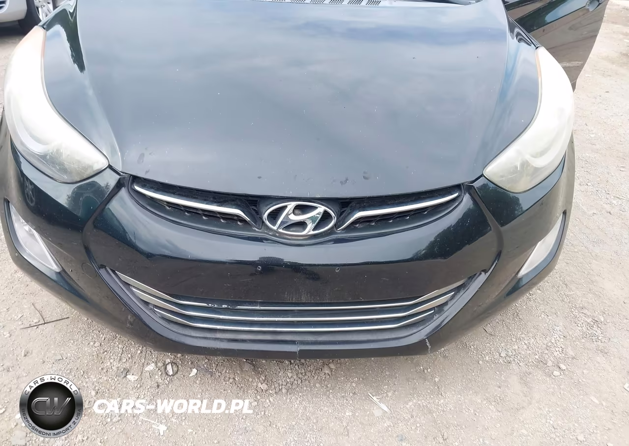2013 Hyundai Elantra Limited VIN:5NPDH4AE8DH388969 - 6
