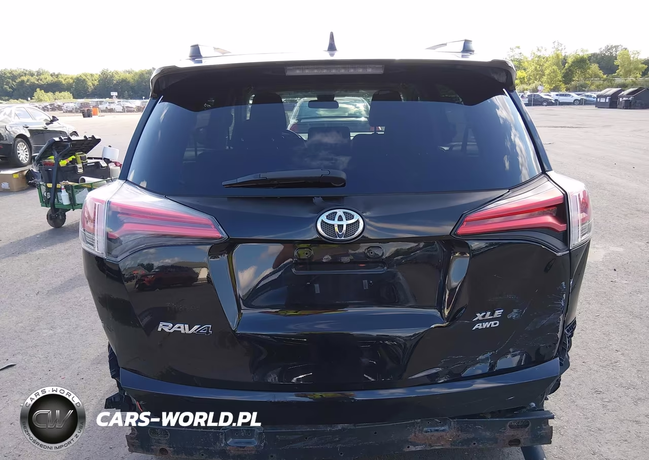 2017 Toyota Rav4 Xle VIN:2T3RFREV5HW542541 - 16