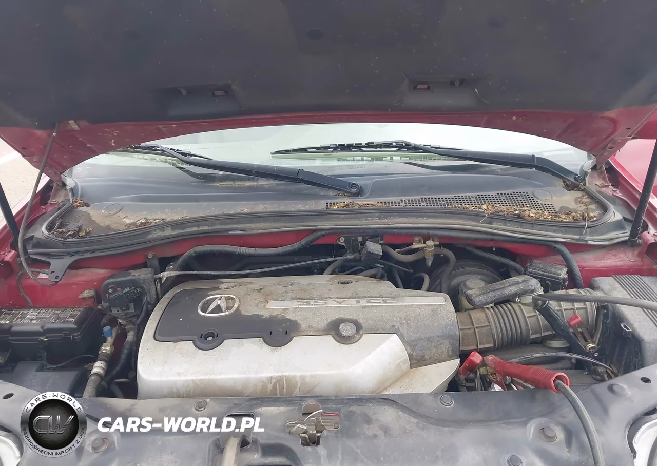 2003 Acura Mdx VIN:2HNYD18653H555624 - 10