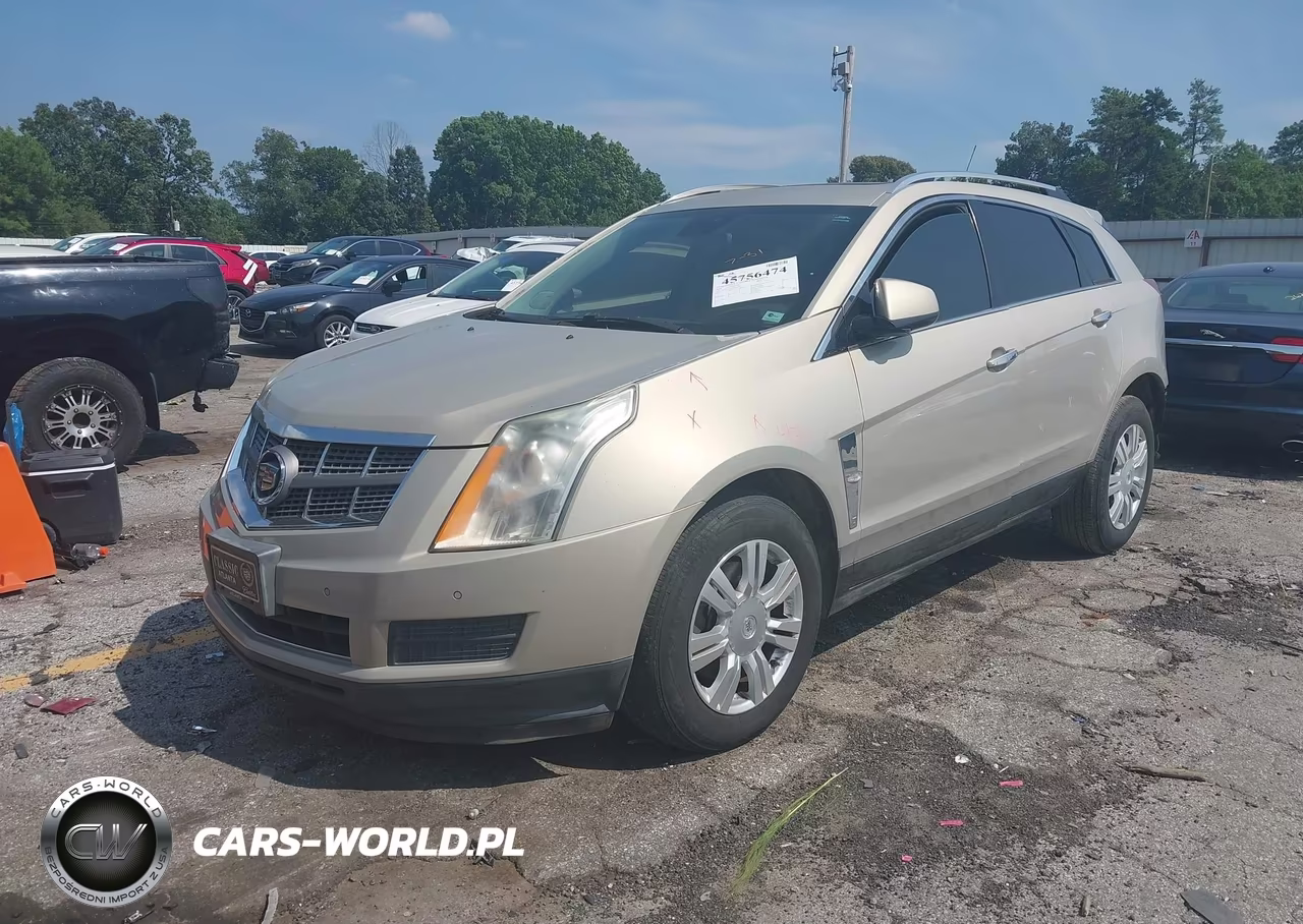 2010 Cadillac Srx Luxury Collection VIN:3GYFNAEY9AS522159 - 2