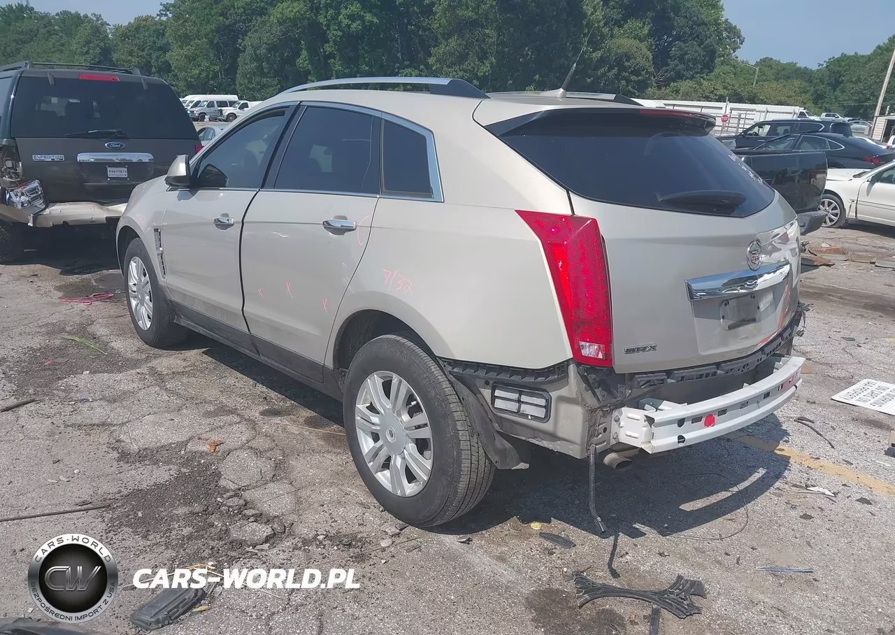 2010 Cadillac Srx Luxury Collection VIN:3GYFNAEY9AS522159 - 3