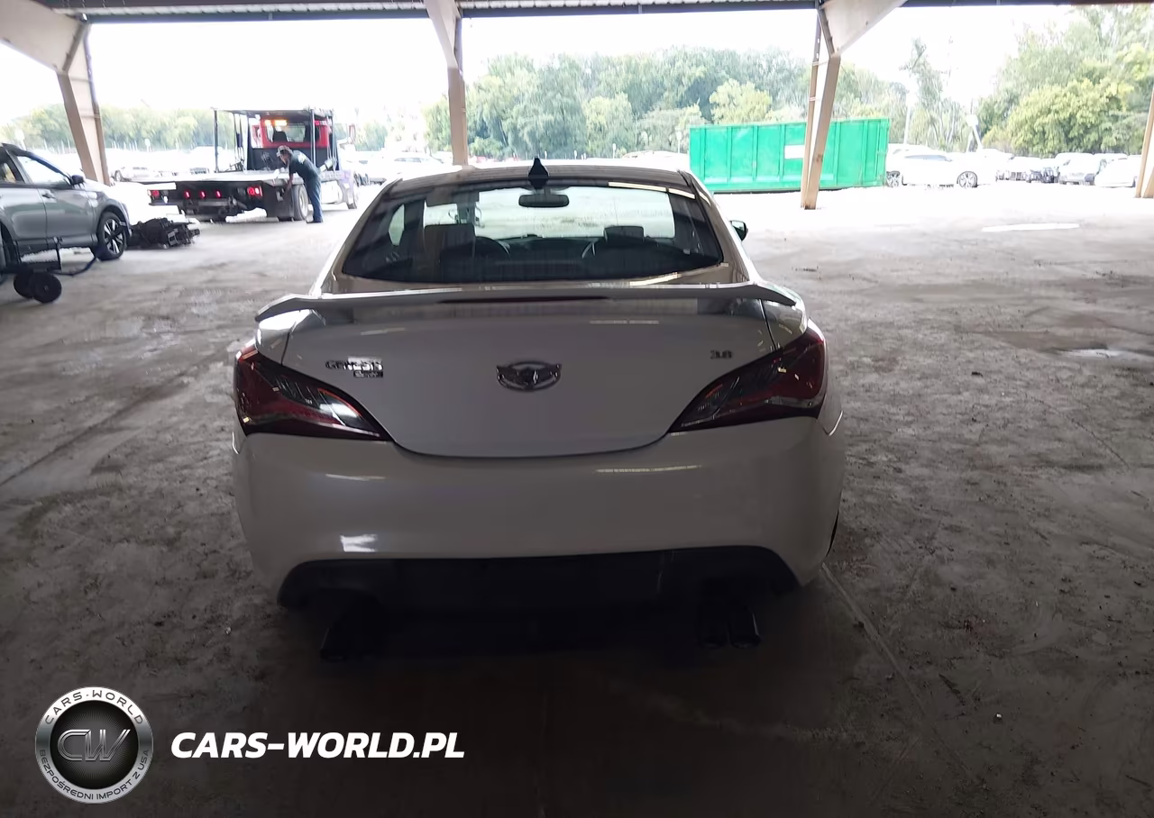 2015 Hyundai Genesis 3.8 Base VIN:KMHHU6KJ6FU124335 - 17