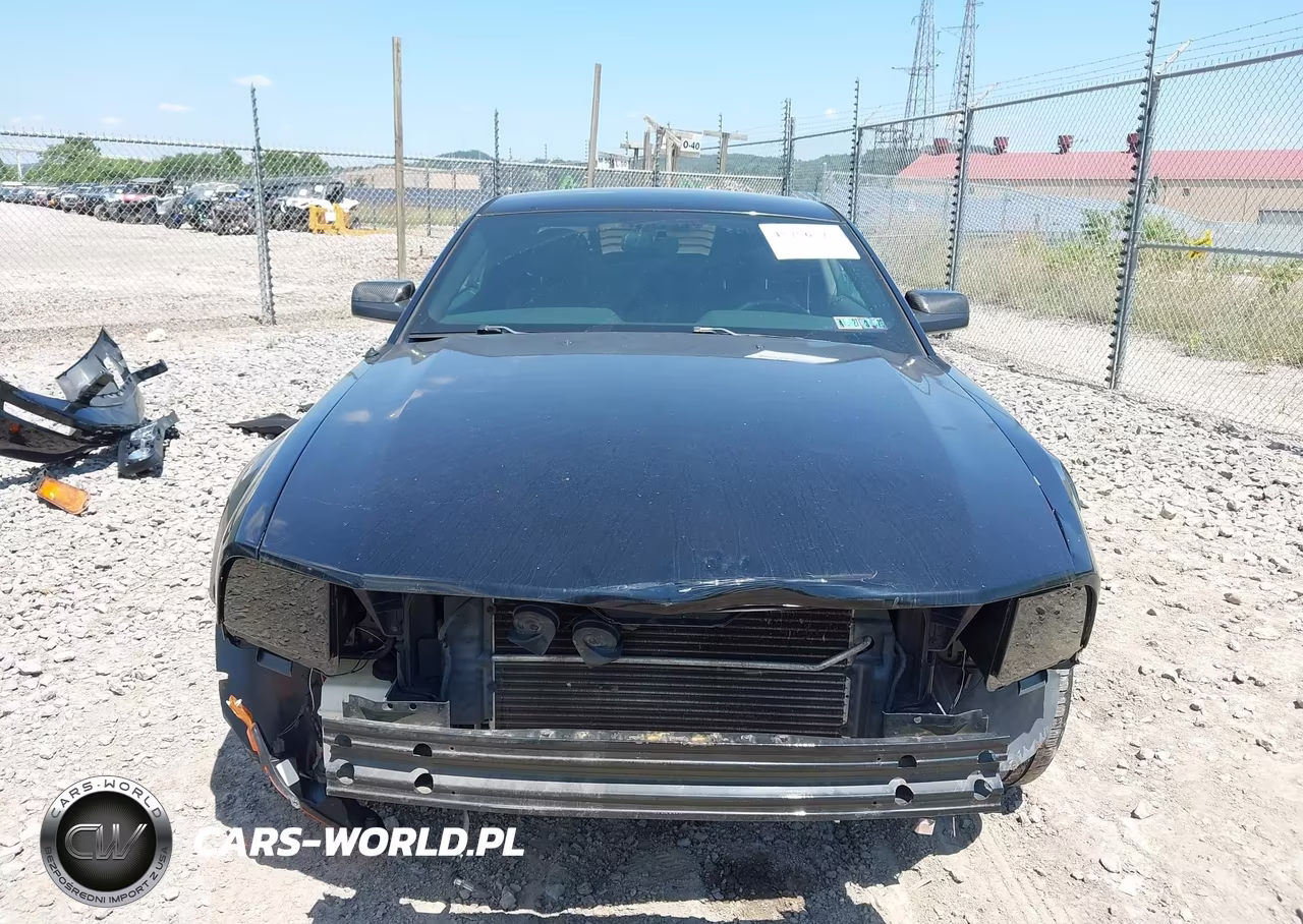 2007 Ford Mustang V6 Deluxe-V6 Premium VIN:1ZVFT80N475349717 - 13