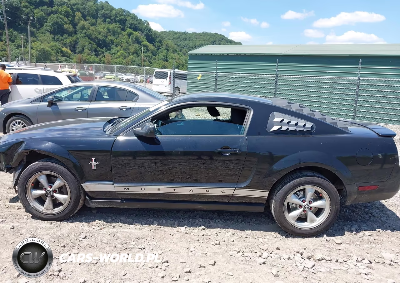 2007 Ford Mustang V6 Deluxe-V6 Premium VIN:1ZVFT80N475349717 - 15