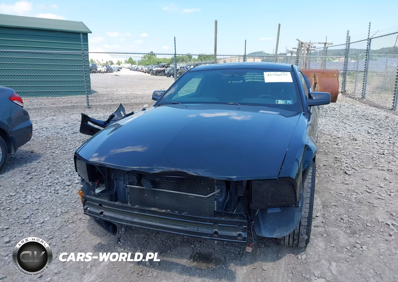 2007 Ford Mustang V6 Deluxe-V6 Premium VIN:1ZVFT80N475349717 - 6