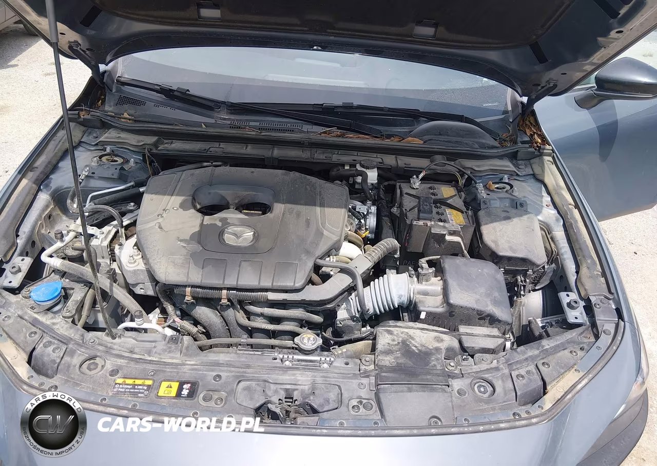 2024 Mazda Mazda3 VIN:JM1BPBLM9R1710794 - 10