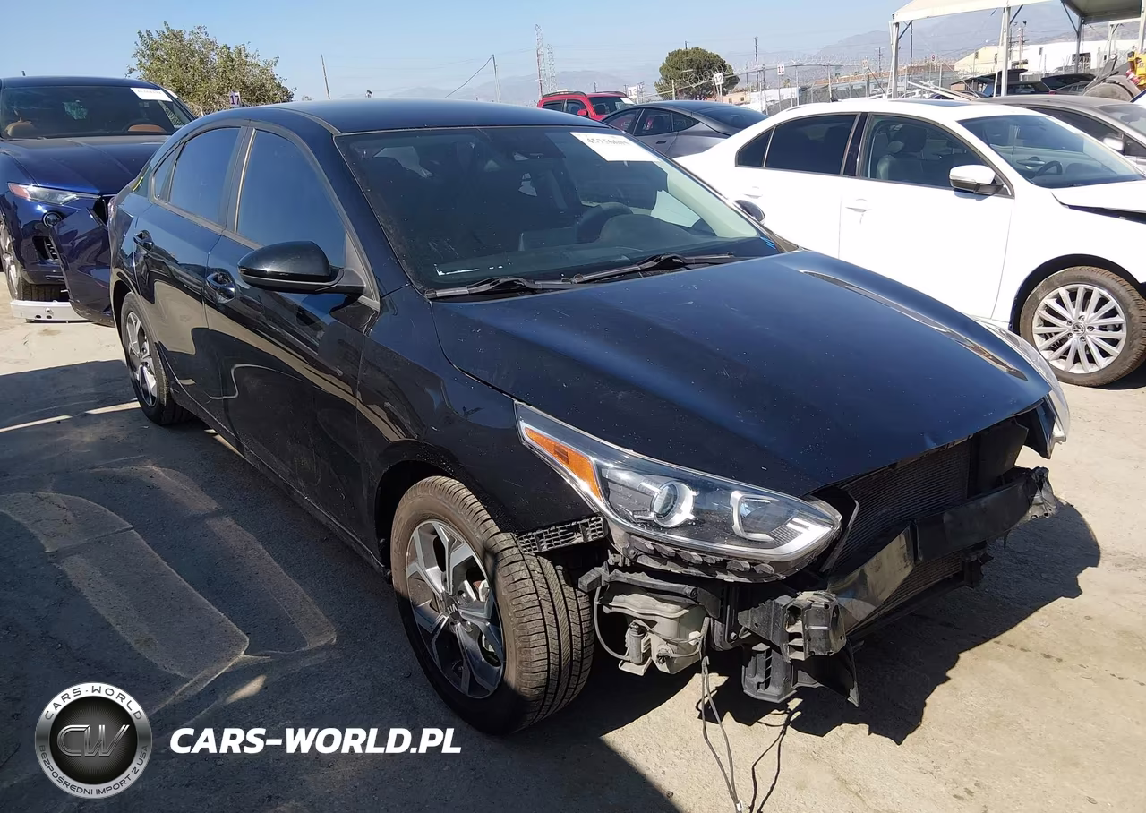 2019 Kia Forte Lxs