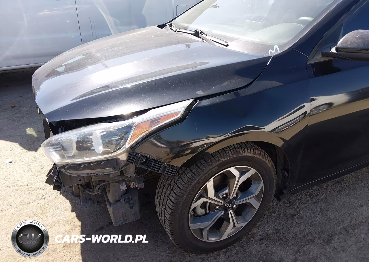 2019 Kia Forte Lxs VIN:3KPF24AD4KE091720 - 17