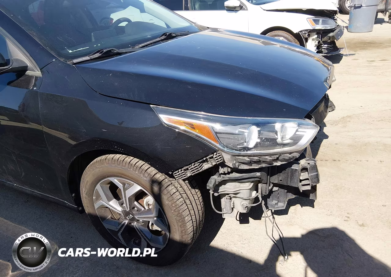 2019 Kia Forte Lxs VIN:3KPF24AD4KE091720 - 18