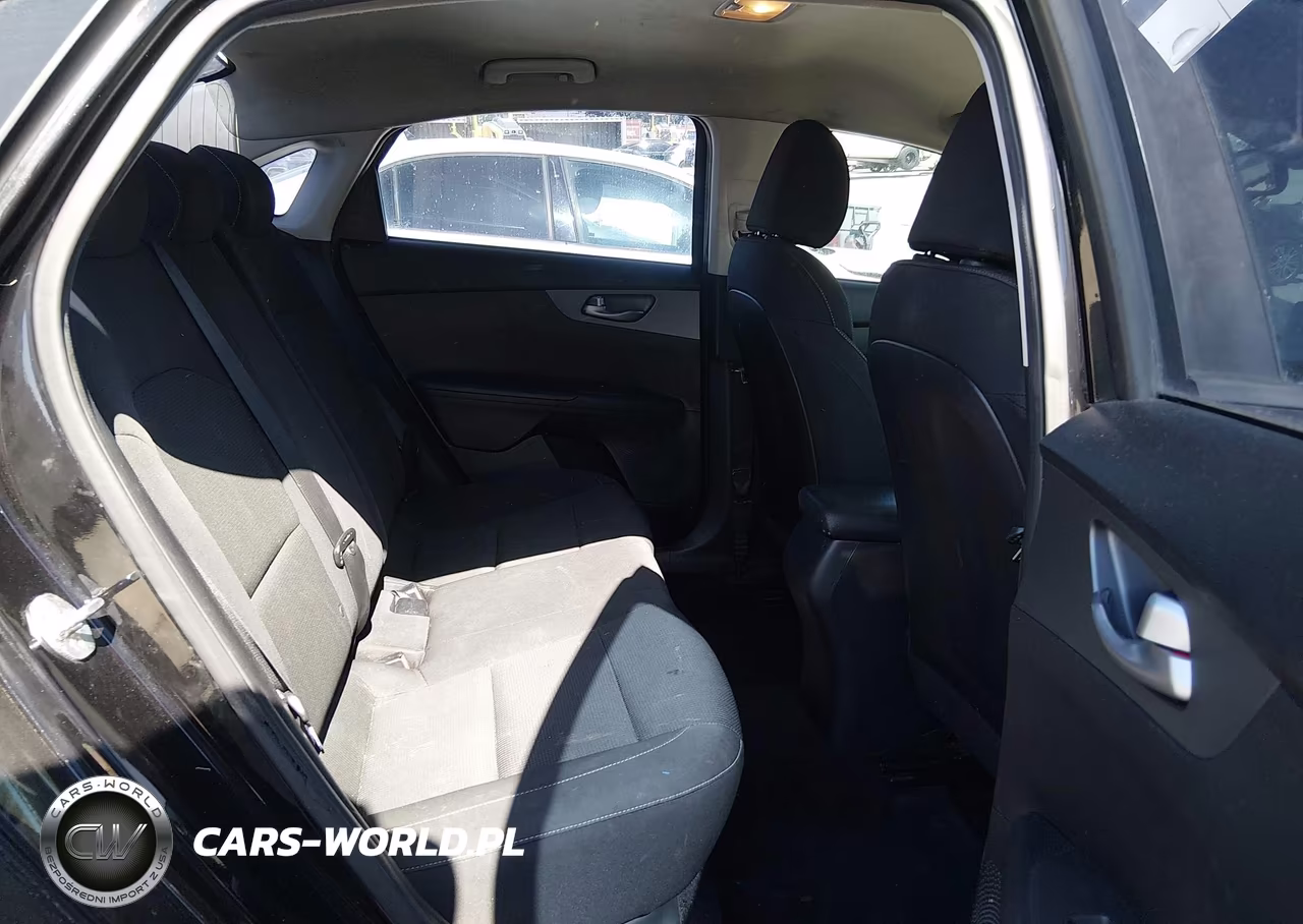 2019 Kia Forte Lxs VIN:3KPF24AD4KE091720 - 8
