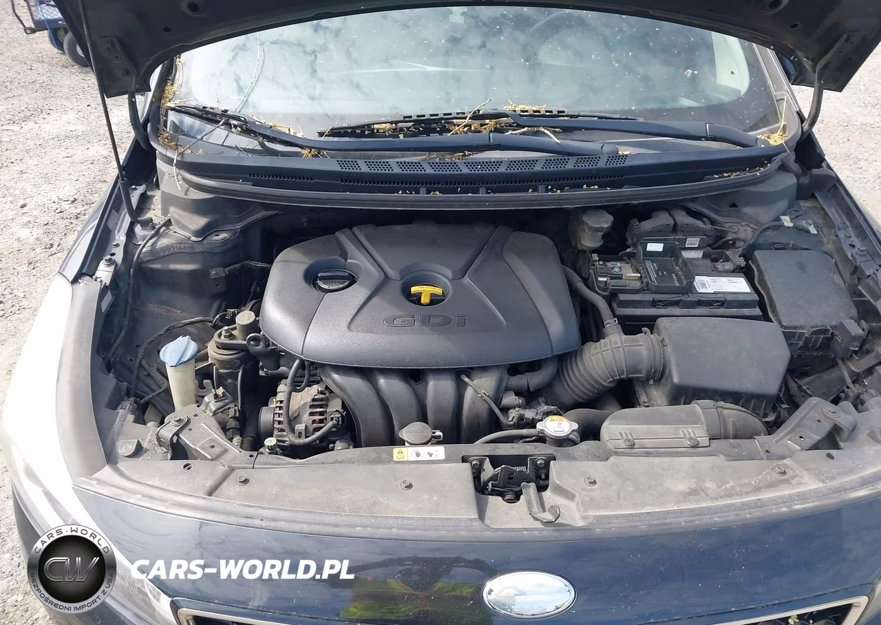 2017 Kia Forte Lx VIN:KNAFK5A86H5692962 - 10