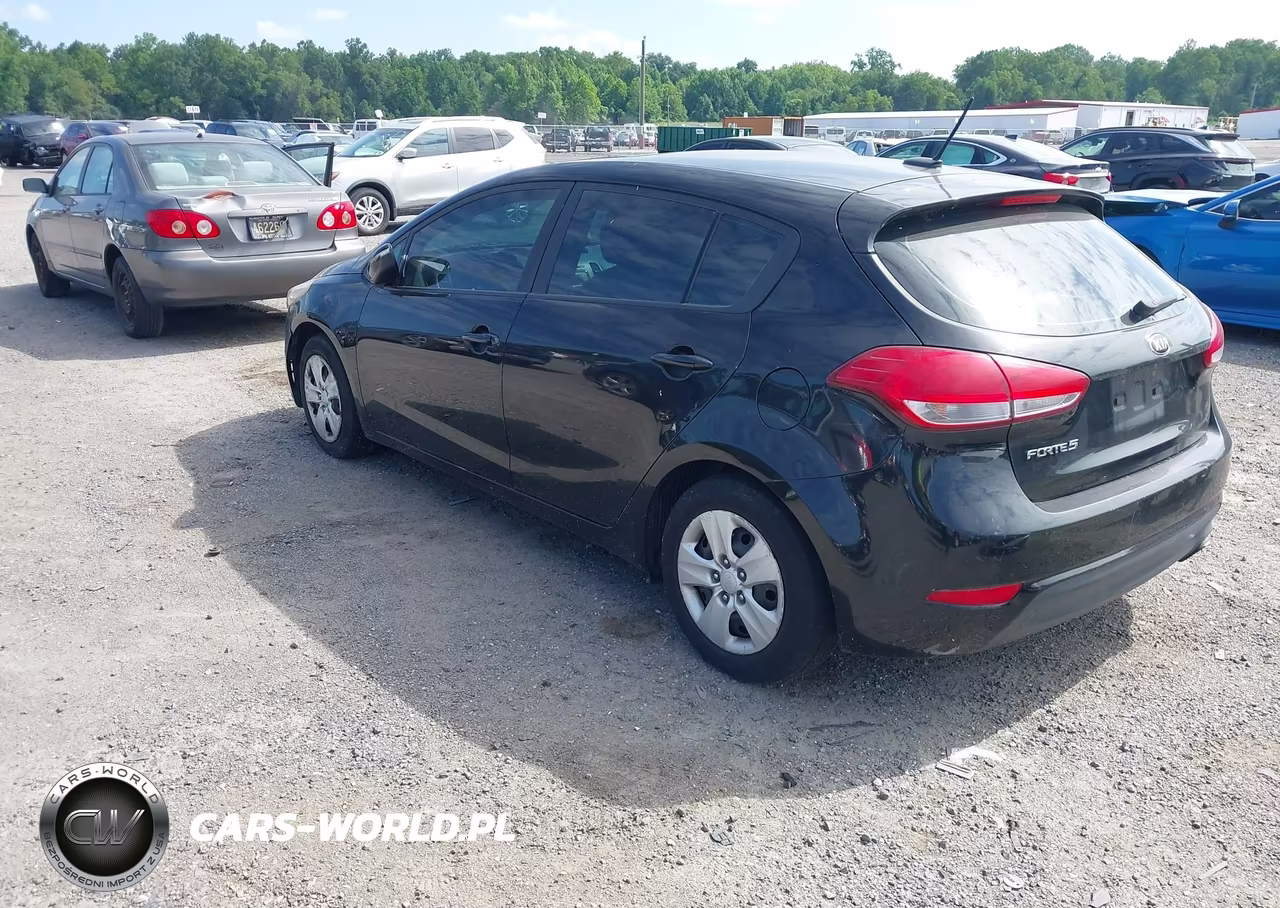 2017 Kia Forte Lx VIN:KNAFK5A86H5692962 - 3