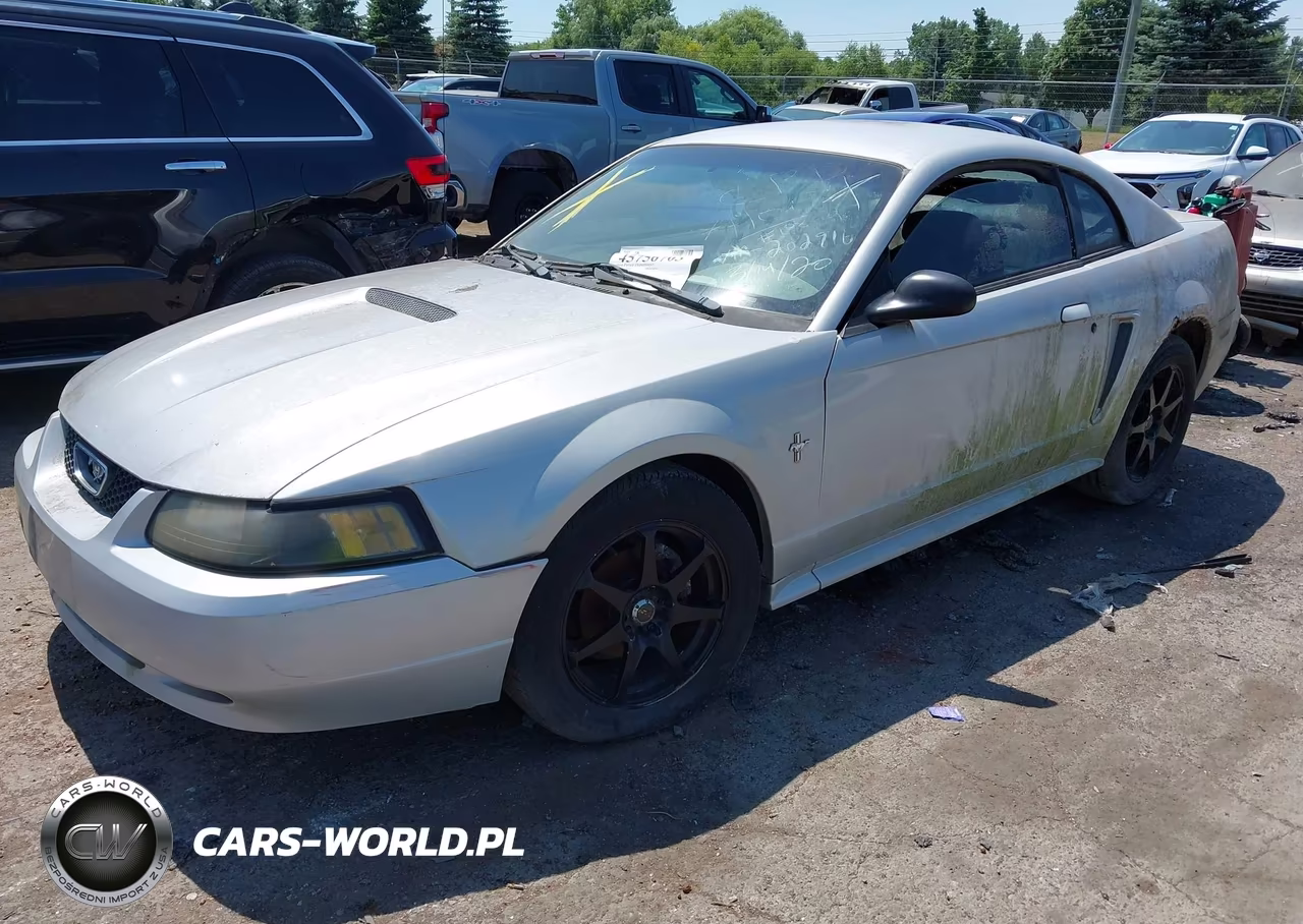 2002 Ford Mustang Deluxe-Premium-Standard VIN:1FAFP404X2F202916 - 2
