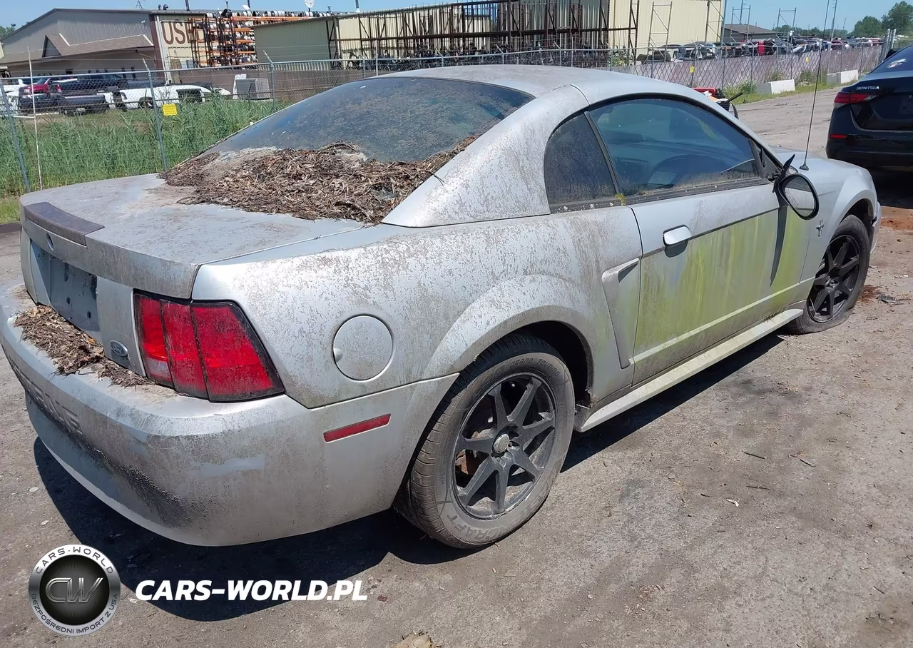2002 Ford Mustang Deluxe-Premium-Standard VIN:1FAFP404X2F202916 - 4