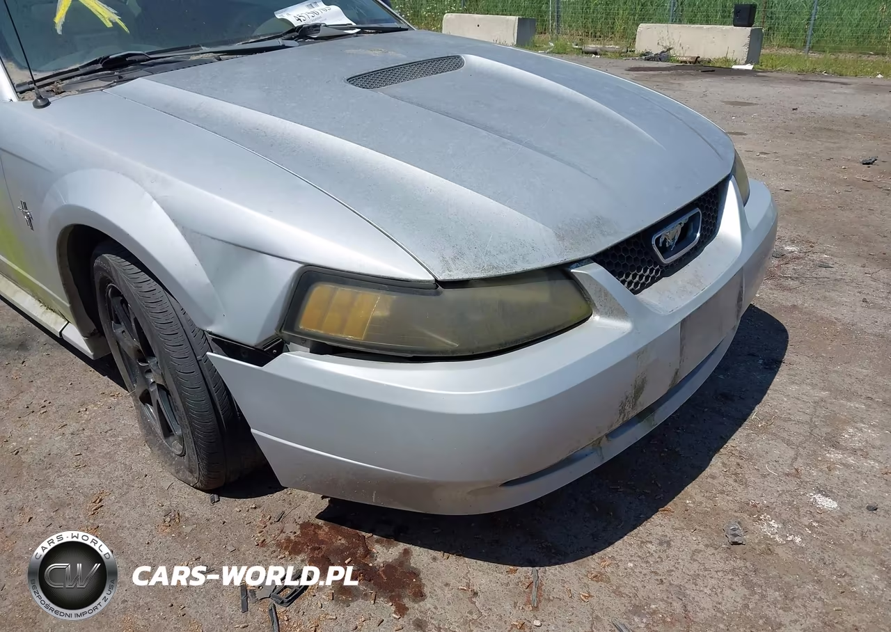 2002 Ford Mustang Deluxe-Premium-Standard VIN:1FAFP404X2F202916 - 6