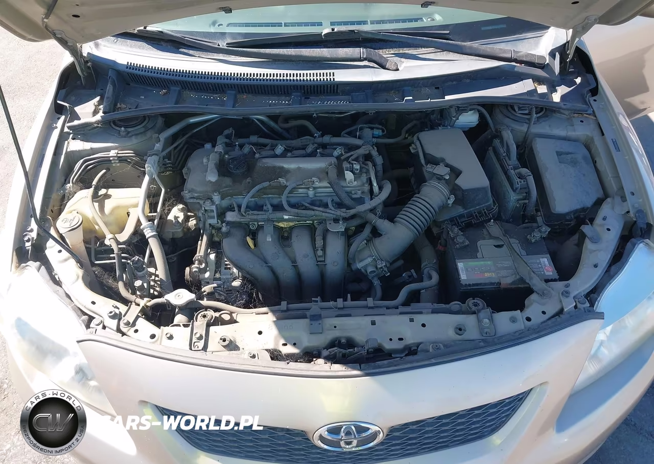 2010 Toyota Corolla Le VIN:2T1BU4EE6AC504035 - 10