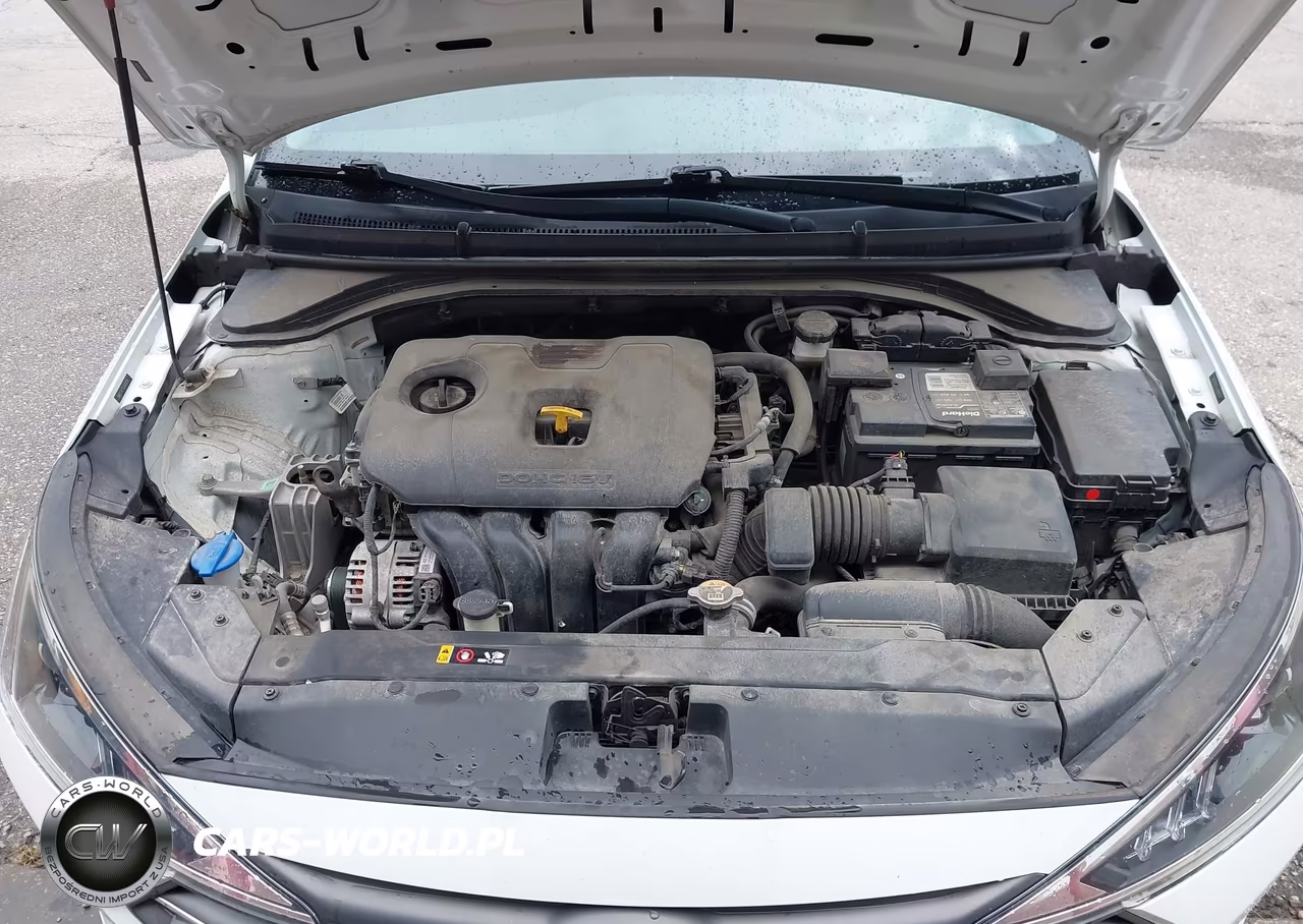 2020 Hyundai Elantra Se VIN:5NPD74LF2LH618139 - 10