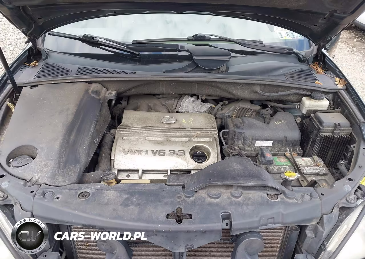 2006 Lexus Rx 330 VIN:2T2HA31UX6C089959 - 10