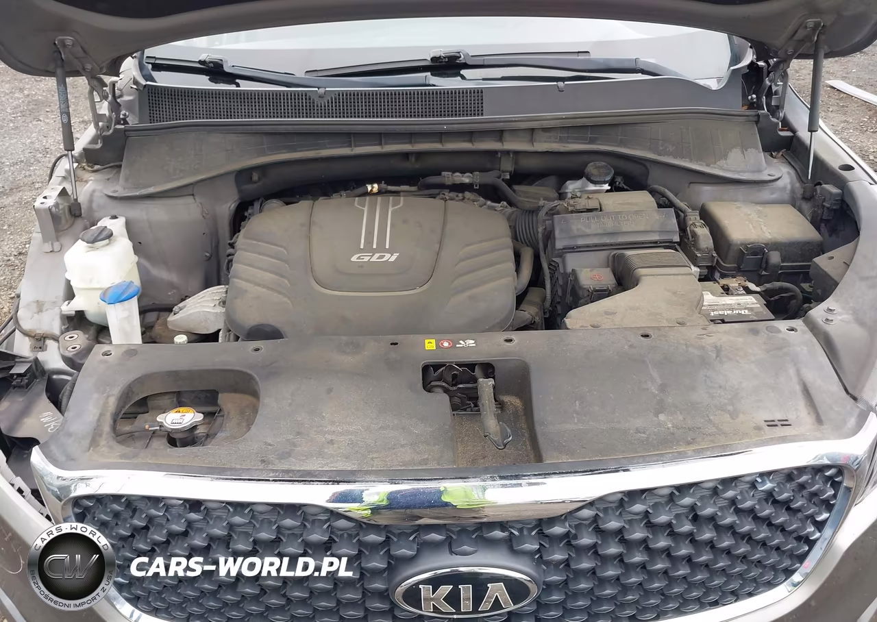 2017 Kia Sorento 3.3L Lx VIN:5XYPG4A50HG230137 - 10