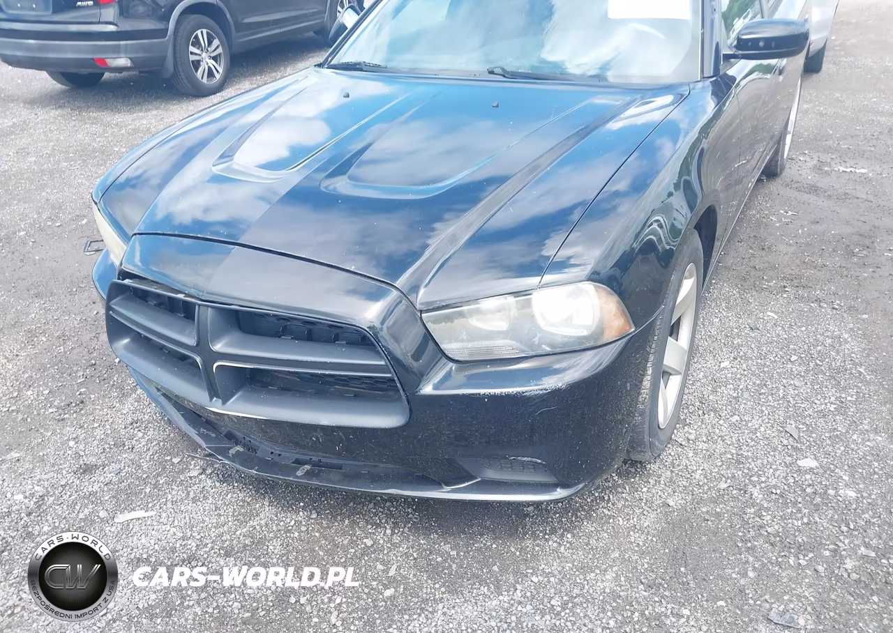 2012 Dodge Charger Police VIN:2C3CDXAT0CH150763 - 6