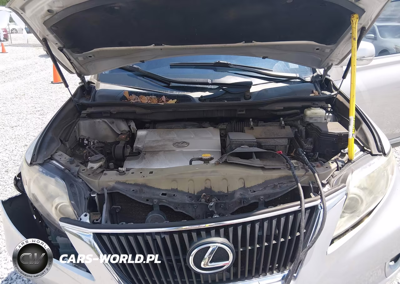 2010 Lexus Rx 350 VIN:2T2BK1BA1AC031713 - 10