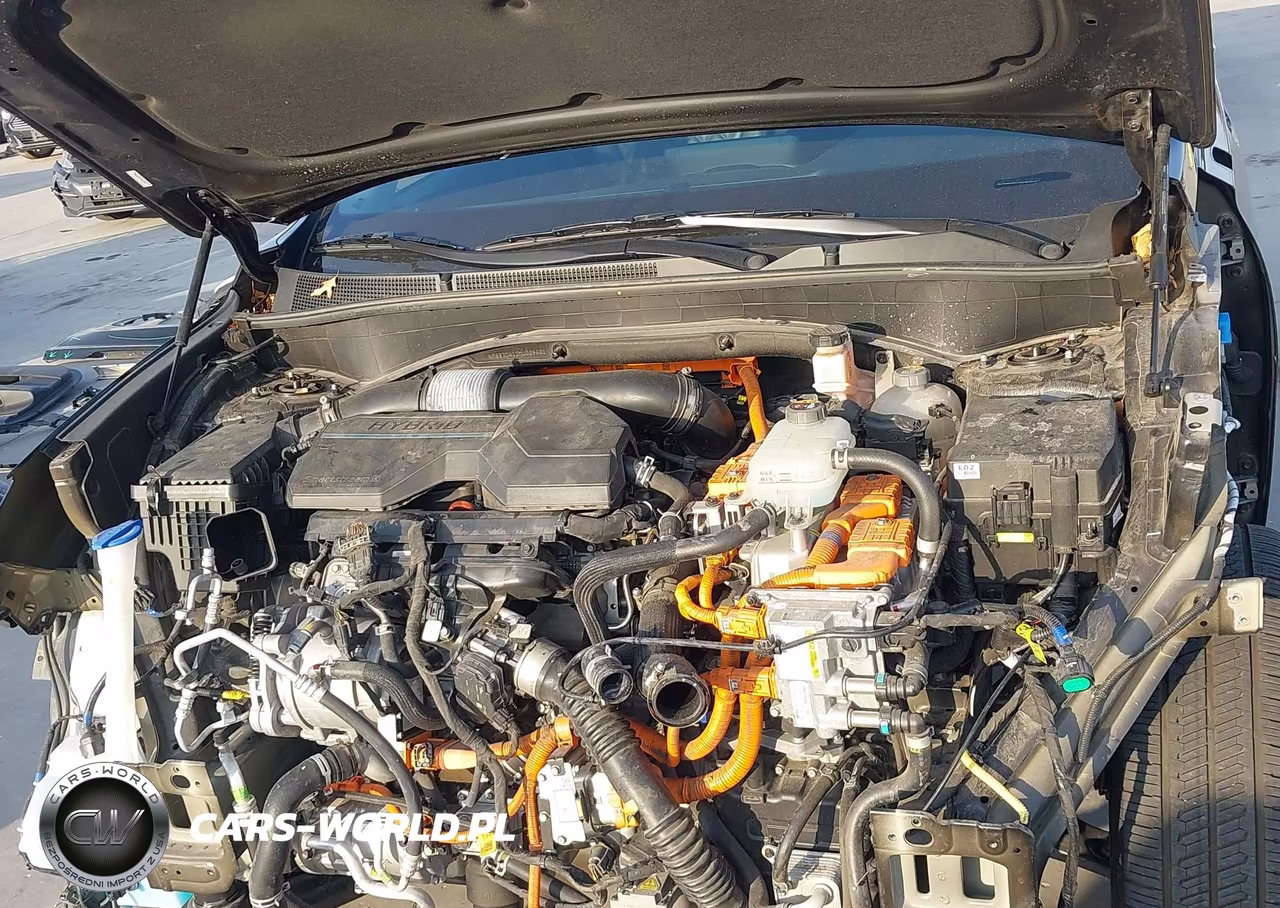 2021 Hyundai Santa Fe Hybrid Sel Premium VIN:KM8S3DA12MU009601 - 10