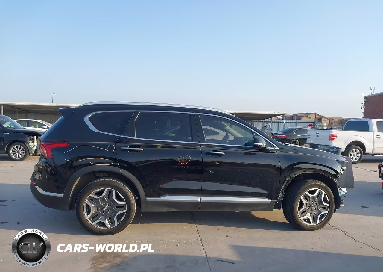 2021 Hyundai Santa Fe Hybrid Sel Premium VIN:KM8S3DA12MU009601 - 13