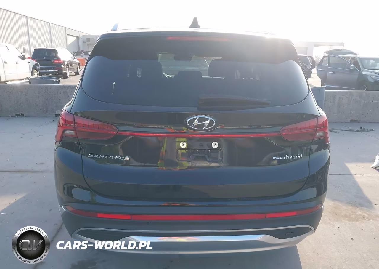 2021 Hyundai Santa Fe Hybrid Sel Premium VIN:KM8S3DA12MU009601 - 16