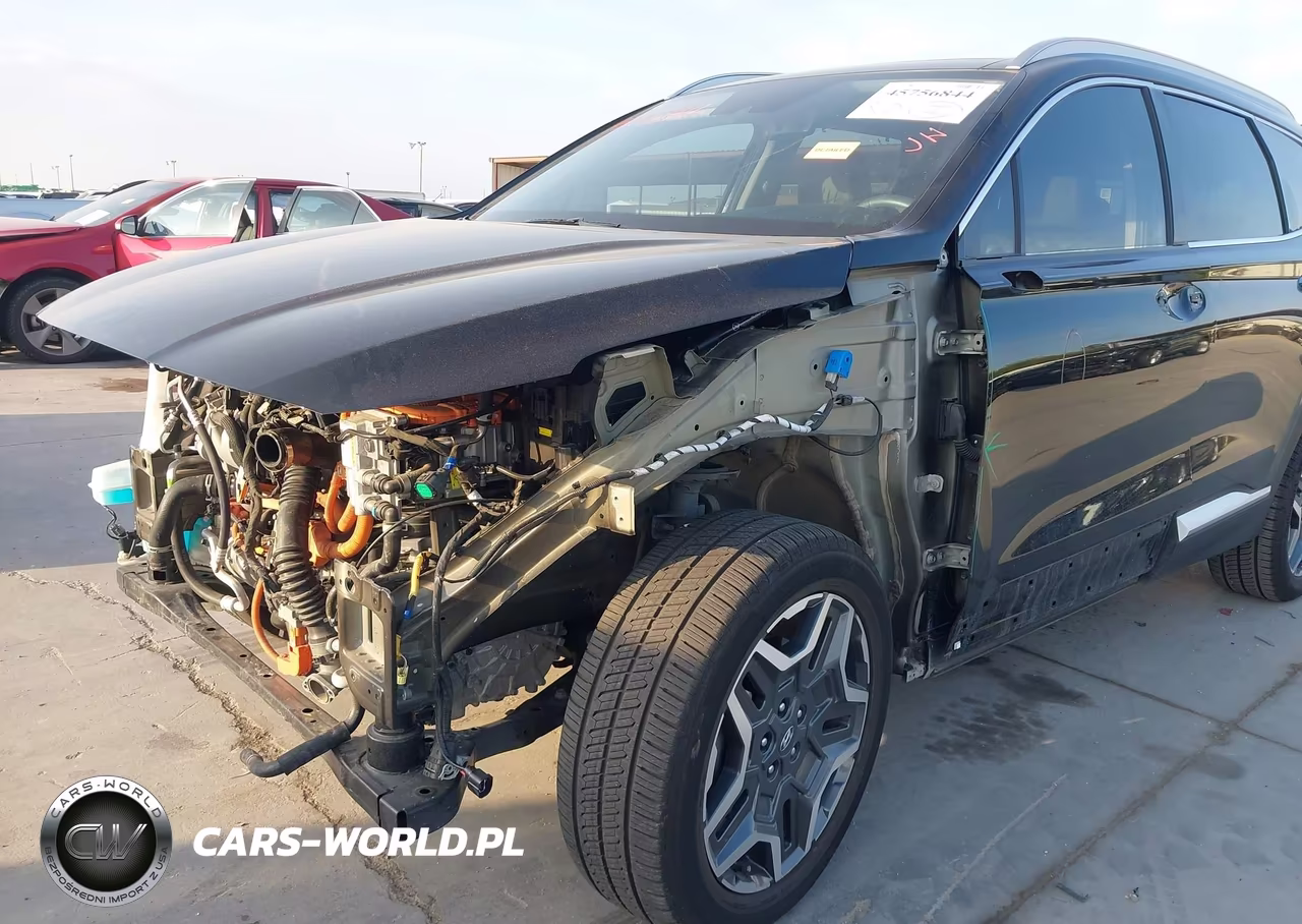 2021 Hyundai Santa Fe Hybrid Sel Premium VIN:KM8S3DA12MU009601 - 19