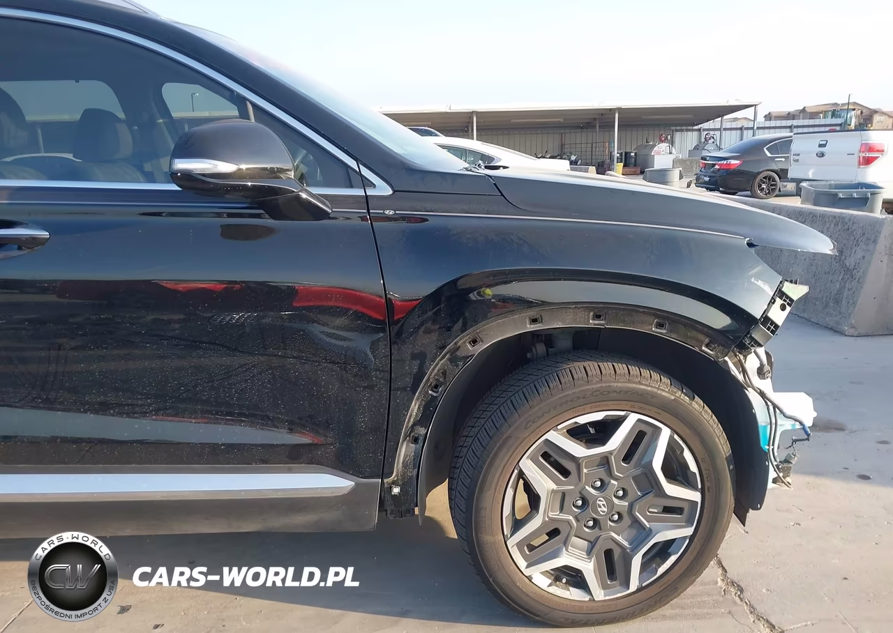 2021 Hyundai Santa Fe Hybrid Sel Premium VIN:KM8S3DA12MU009601 - 6