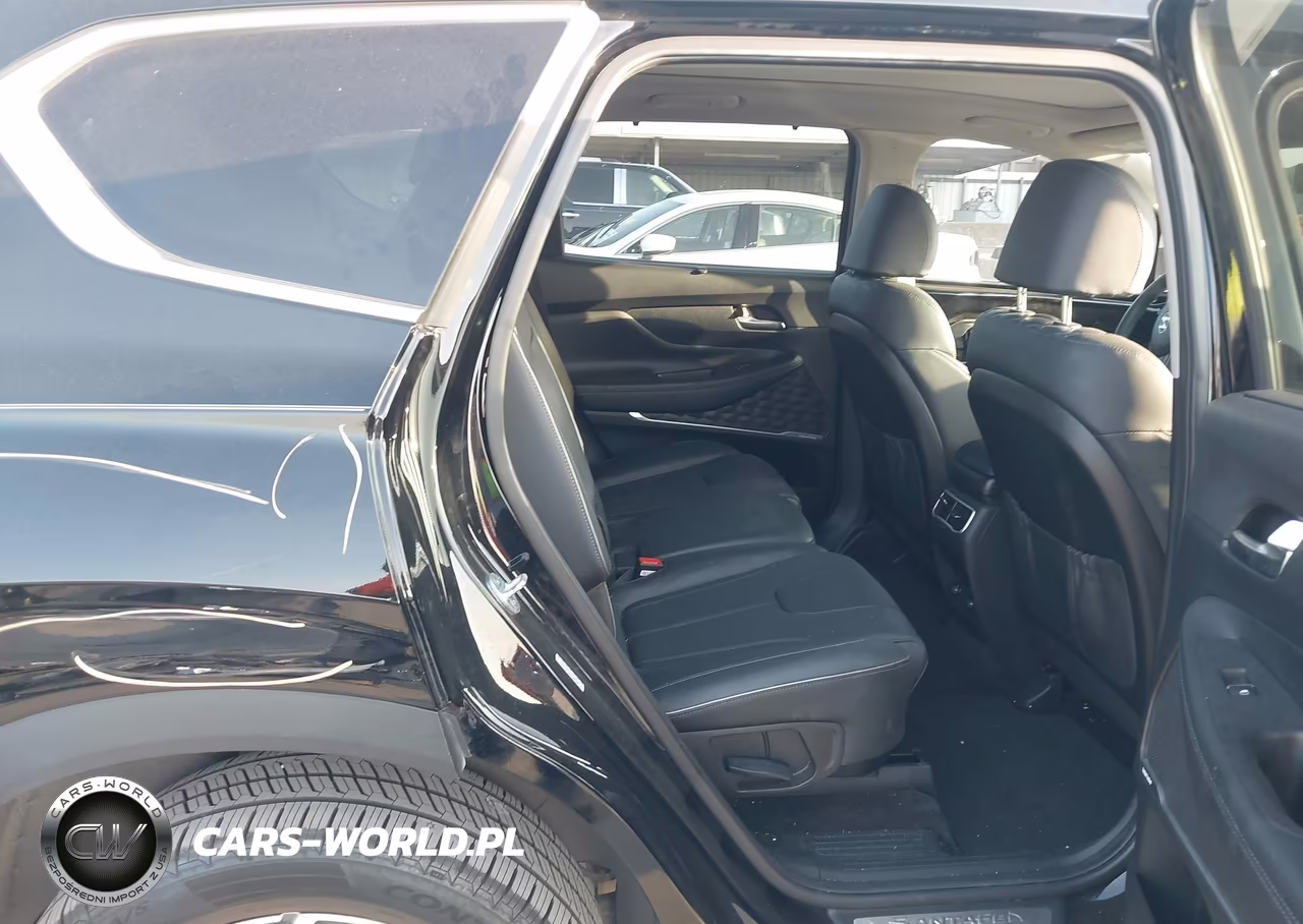 2021 Hyundai Santa Fe Hybrid Sel Premium VIN:KM8S3DA12MU009601 - 8