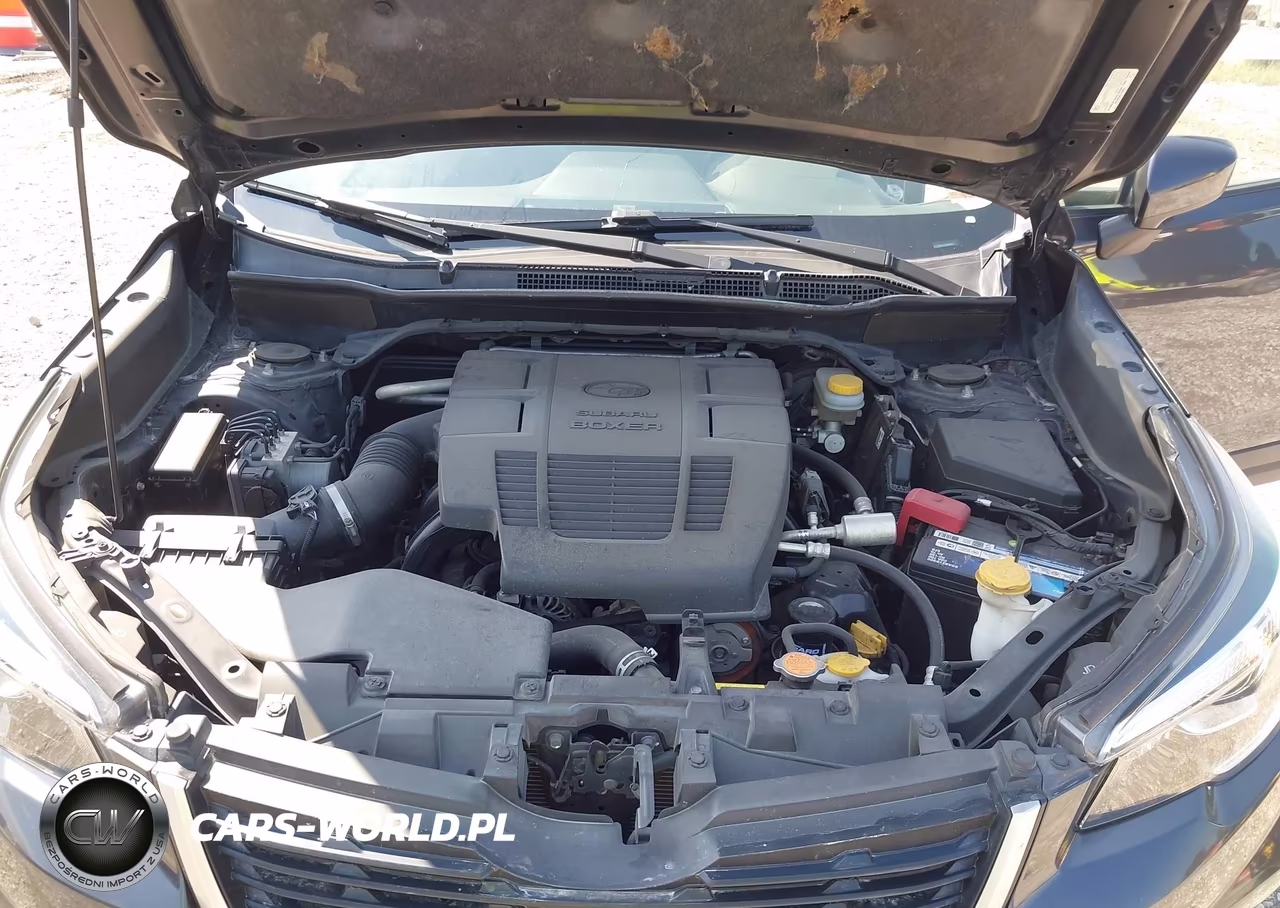 2019 Subaru Forester Premium VIN:JF2SKAEC6KH584485 - 10