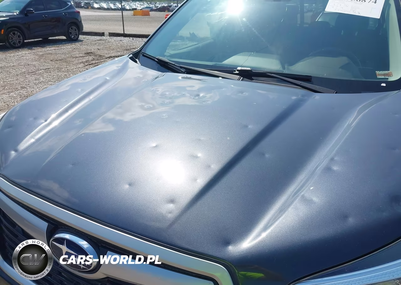 2019 Subaru Forester Premium VIN:JF2SKAEC6KH584485 - 6