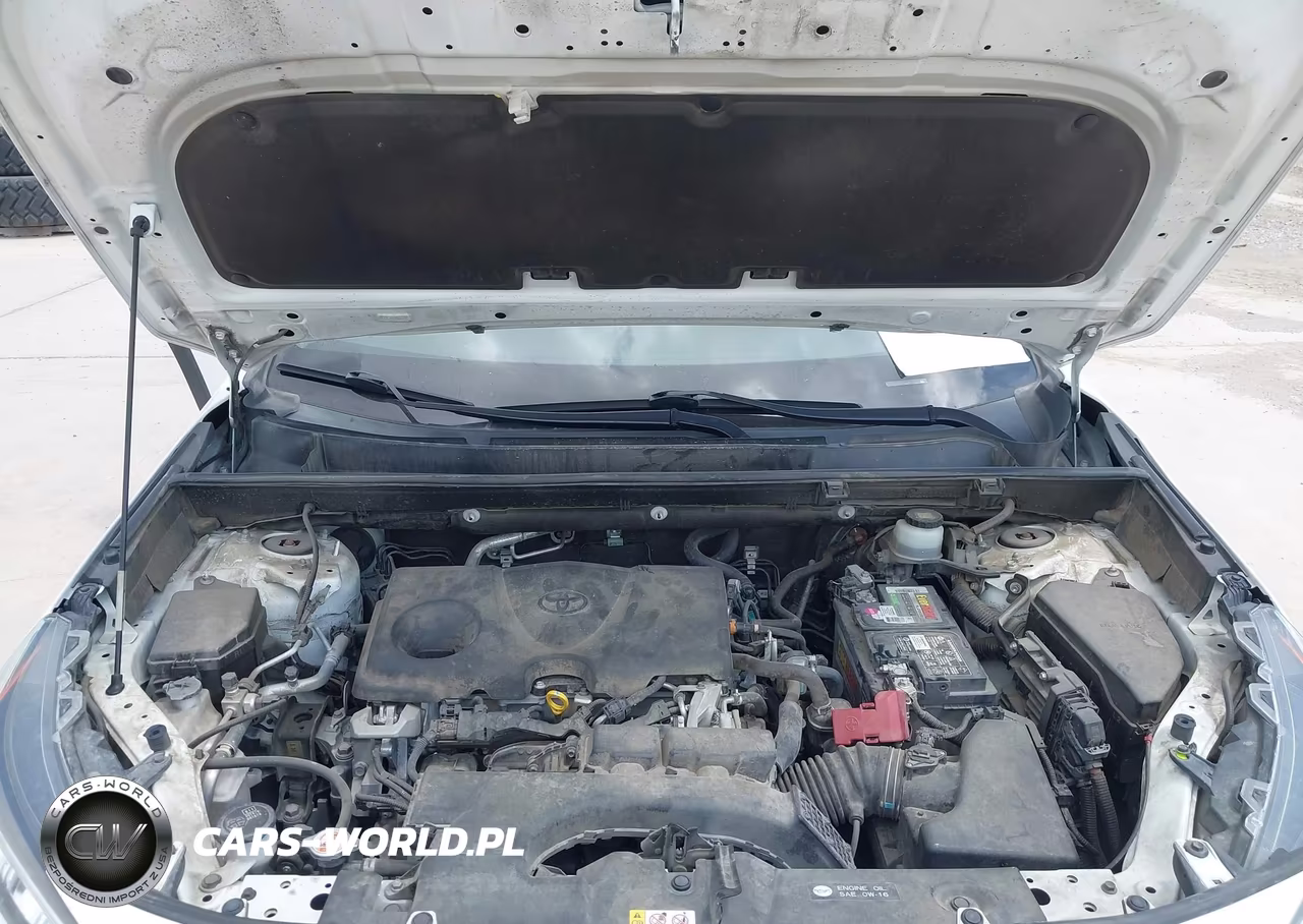 2020 Toyota Rav4 Xle VIN:JTMW1RFV4LD519919 - 10