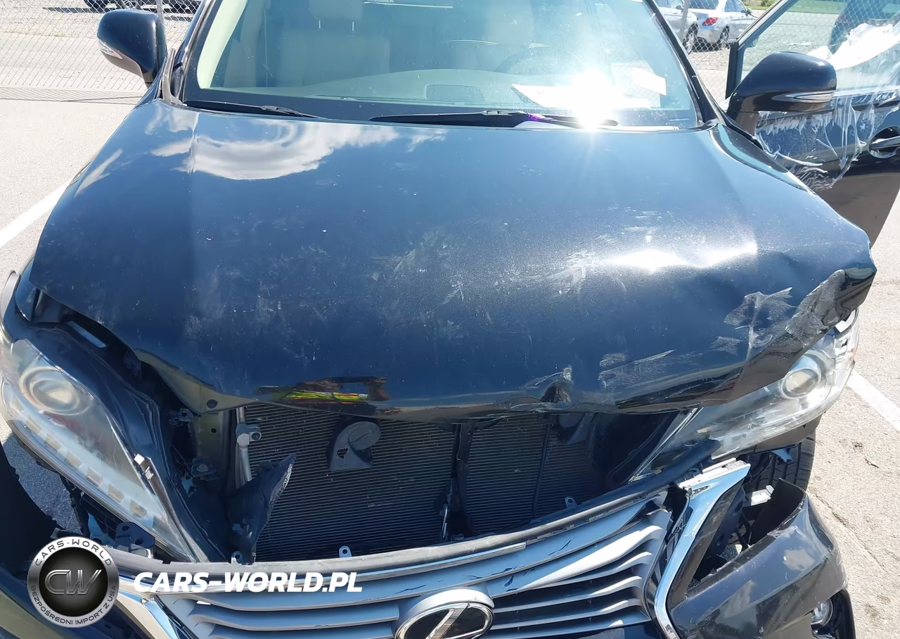 2015 Lexus Rx 350 VIN:2T2BK1BA6FC253056 - 20