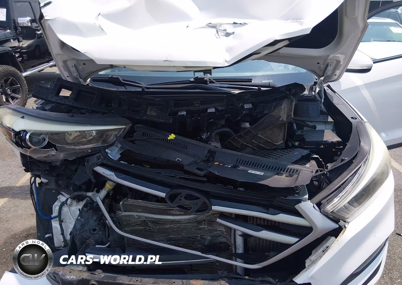2017 Hyundai Tucson Sport VIN:KM8J3CA27HU326617 - 10