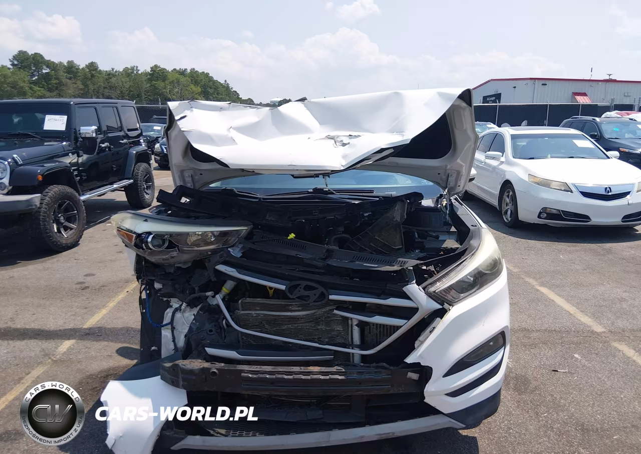2017 Hyundai Tucson Sport VIN:KM8J3CA27HU326617 - 13