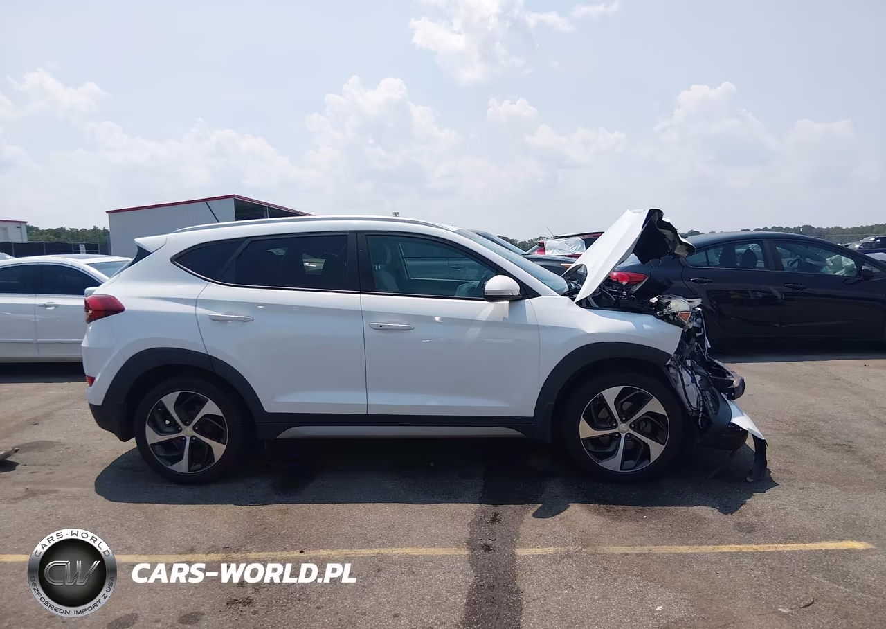 2017 Hyundai Tucson Sport VIN:KM8J3CA27HU326617 - 14