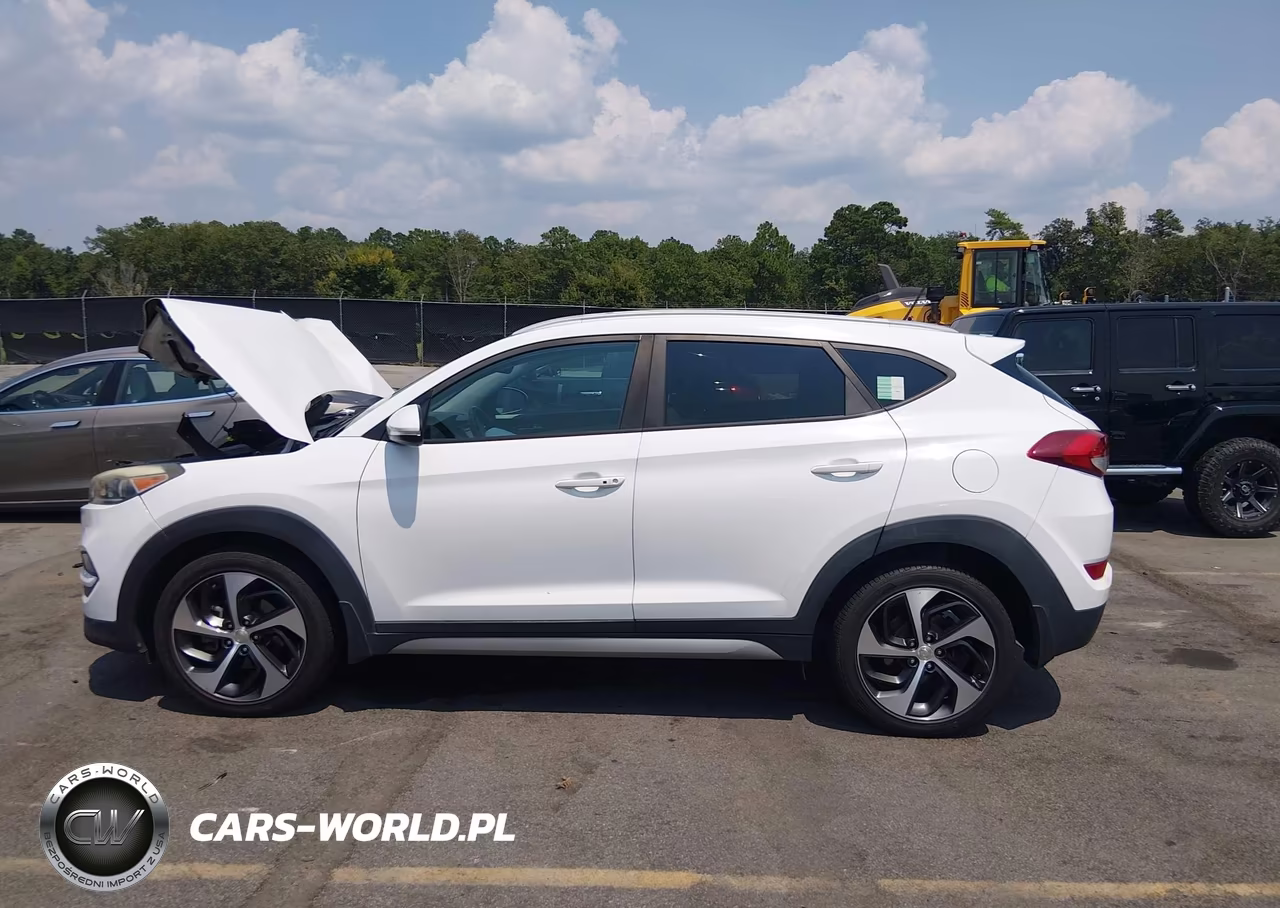 2017 Hyundai Tucson Sport VIN:KM8J3CA27HU326617 - 15