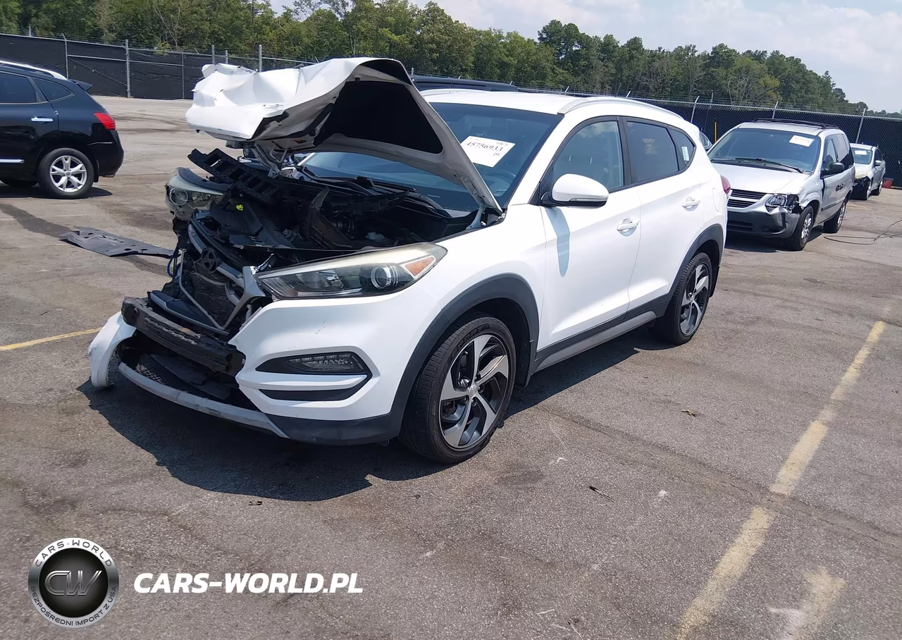 2017 Hyundai Tucson Sport VIN:KM8J3CA27HU326617 - 2