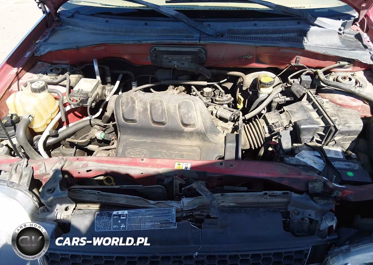 2004 Ford Escape Xlt VIN:1FMCU03194DA23342 - 10