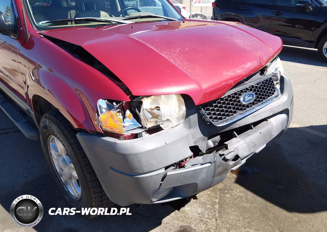 2004 Ford Escape Xlt VIN:1FMCU03194DA23342 - 6