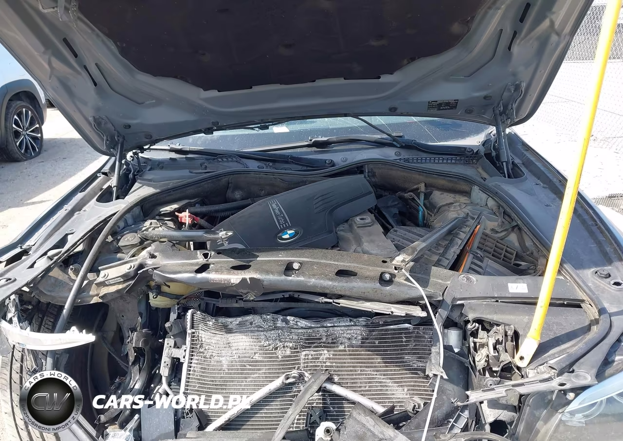 2015 BMW 528I VIN:WBA5A5C55FD516859 - 10